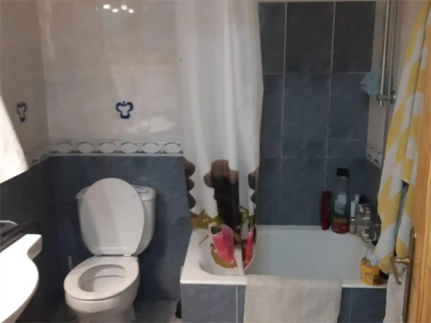 Bathroom of Flat for sale in Canet lo Roig  with Parquet flooring and Furnished