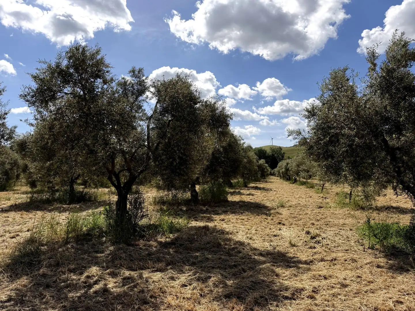Finca rústica en venta en Teba con Calefacción y Trastero