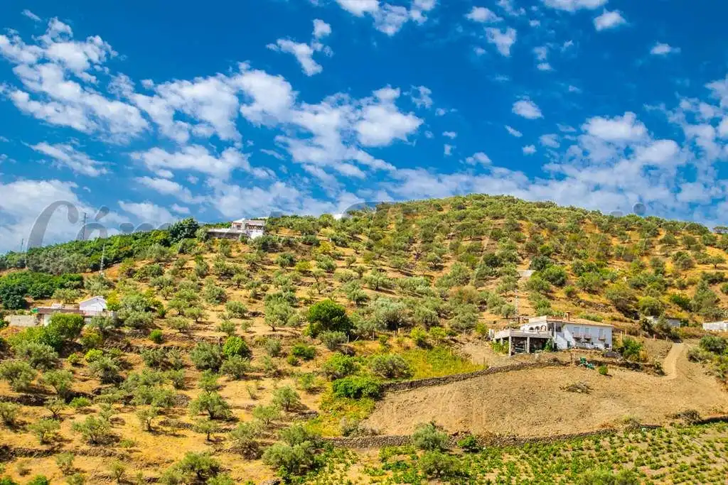 Terreno rústico en venta en Torrox Pueblo