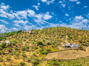 Terreno rustico in vendita a Torrox Pueblo