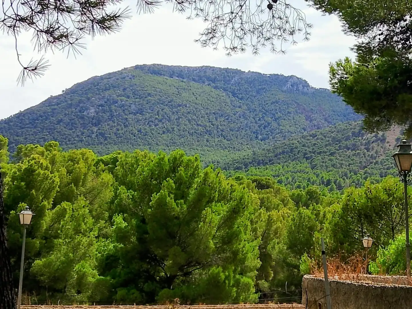 Jardín de Finca rústica en venta en Tibi con Jardín privado y Terraza