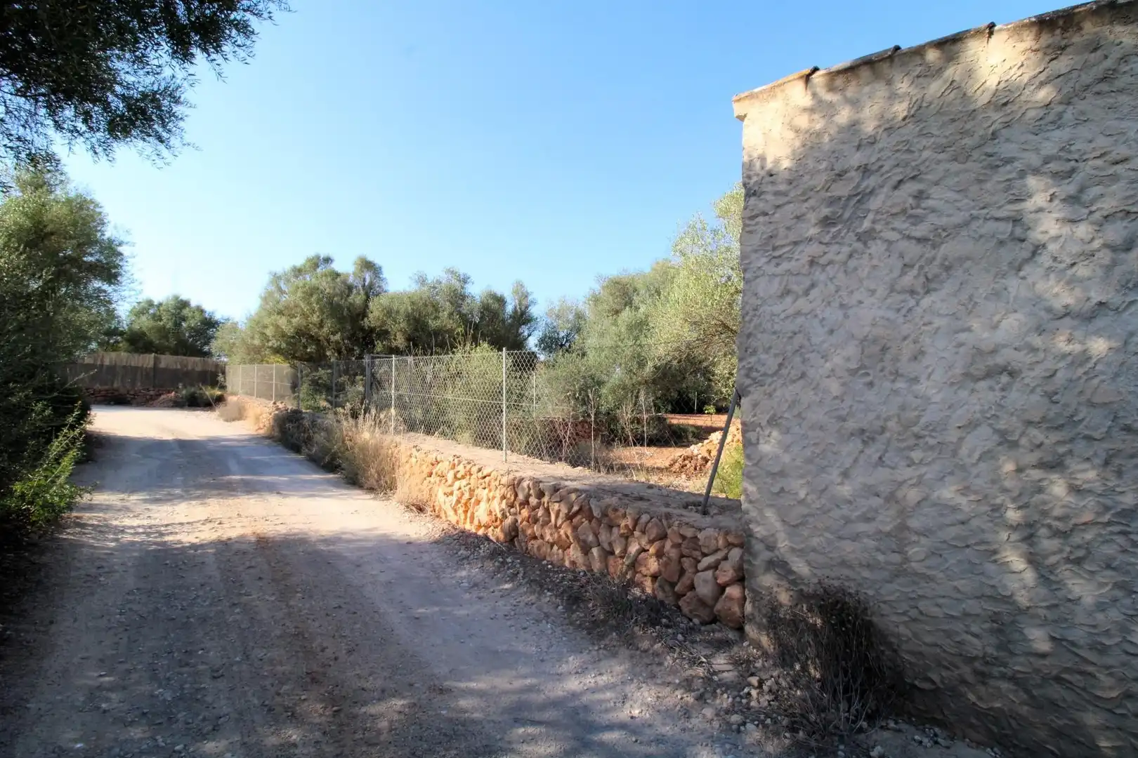Terreny rústic en venda a Llucmajor pueblo, imagen 19