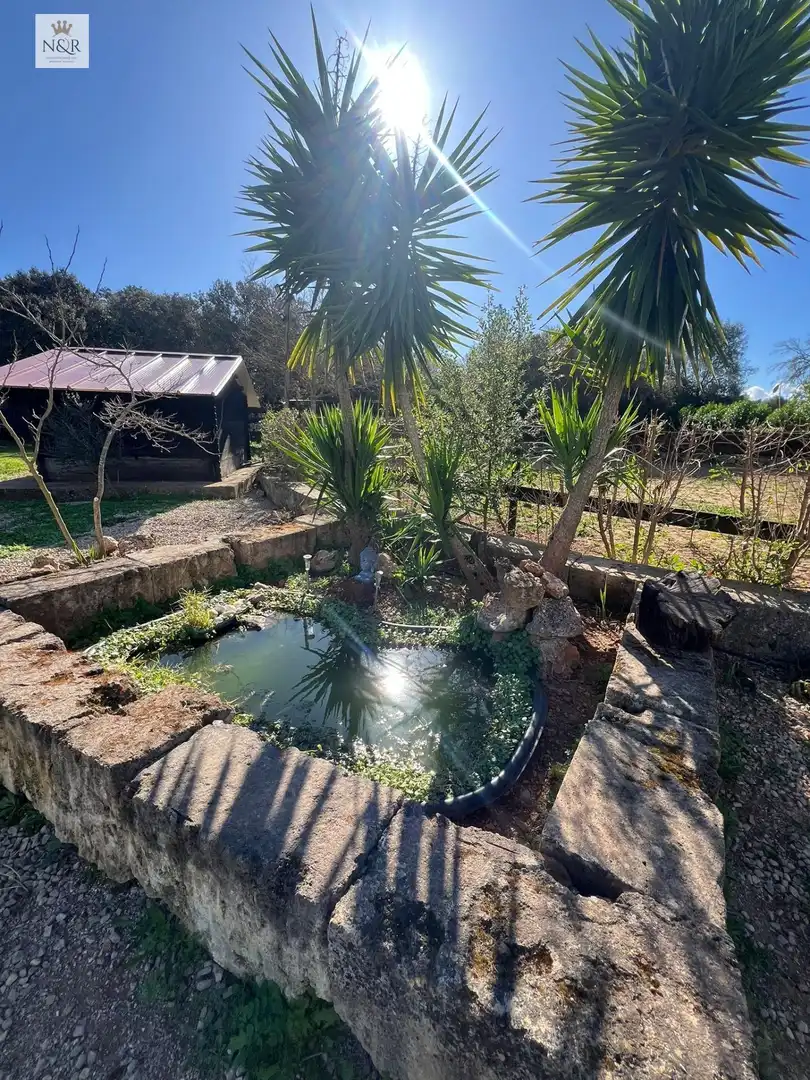 Jardín de Finca rústica en venta en Costitx