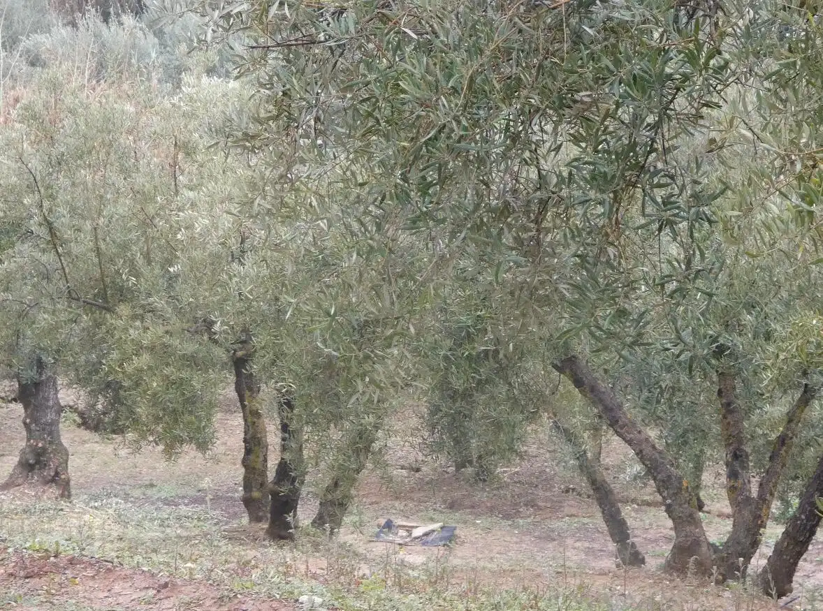 Terreni e lotti in vendita a Peligros, imagen 10