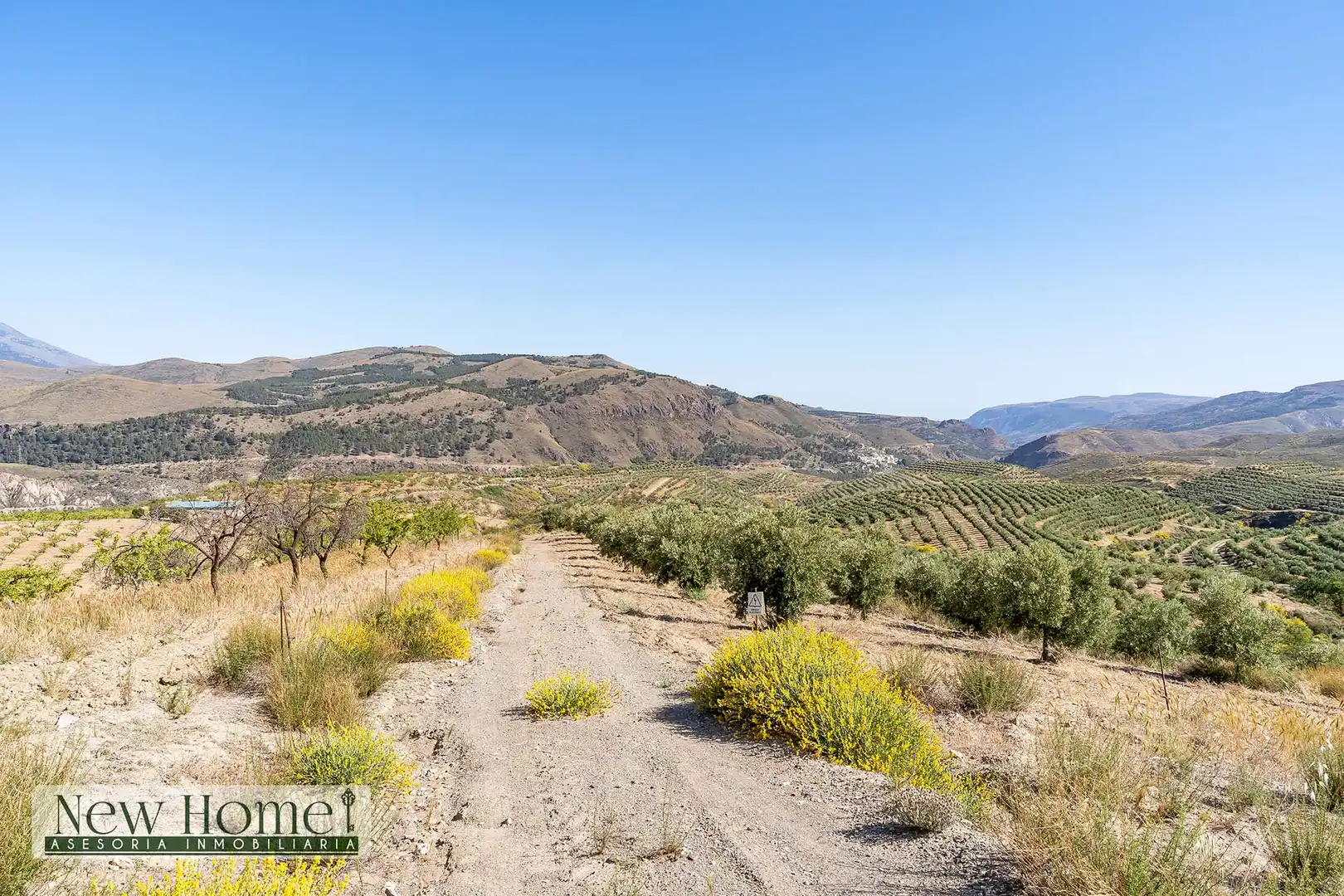 Finca rústica en venta en Ugíjar