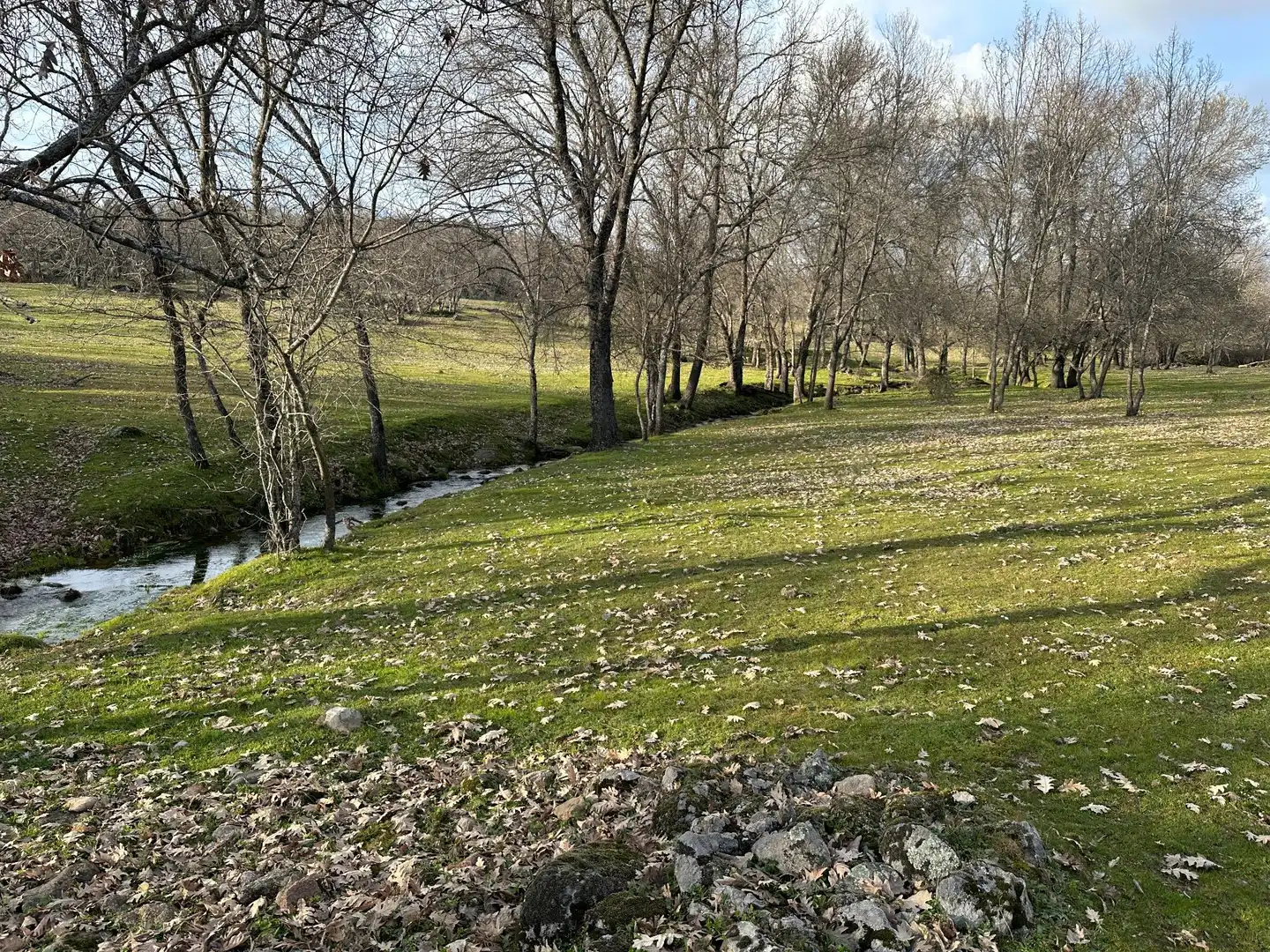 Terreni e lotti in vendita a Malpartida de Plasencia, imagen 7