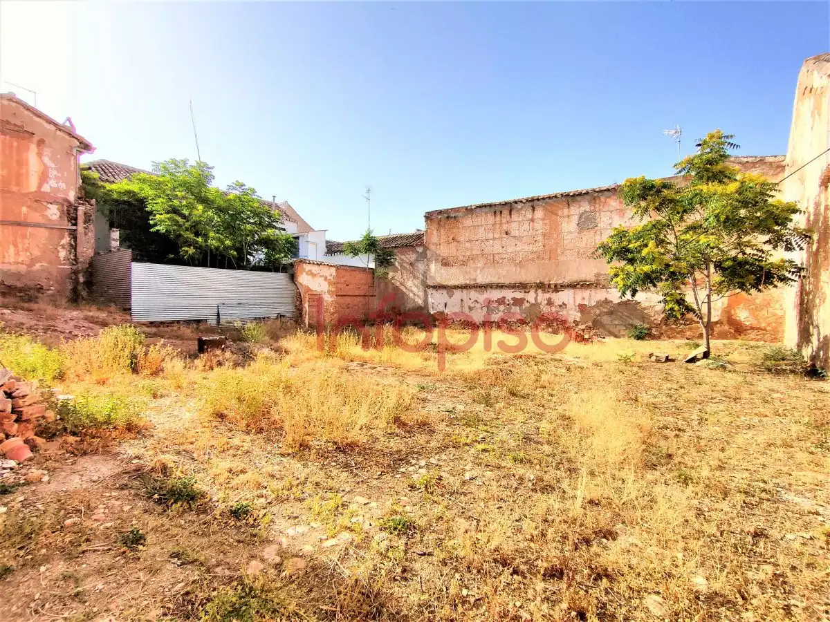 Lands and plots for sale in Valdepeñas, imagen 2