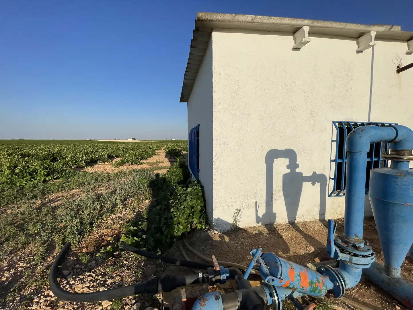 Terreno rústico en venta en Tomelloso, imagen 17