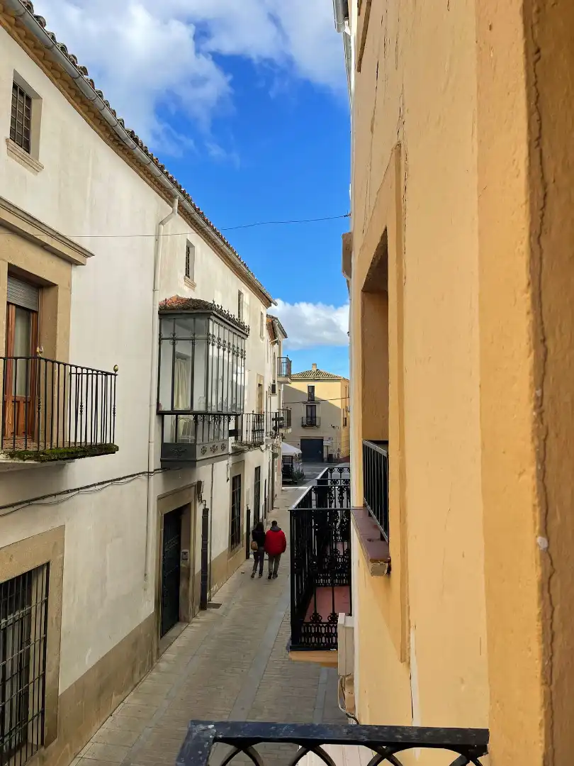 Maison avec terrasse à vendre à Calle Rúa Zapatería, imagen 5