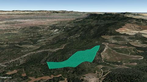 Foto 3 de Terreno en venta en Ptda. el Palmar, Hacienda Lo Espinardo, Carrascoy - La Murta,  Murcia Capital