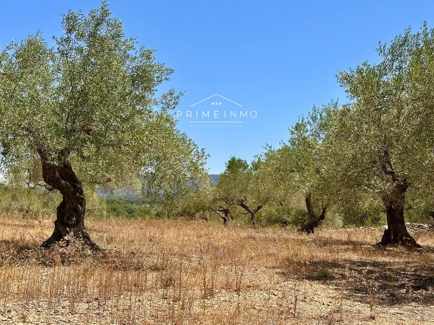 Finca rústica en venta en L'Ametlla de Mar  con Trastero