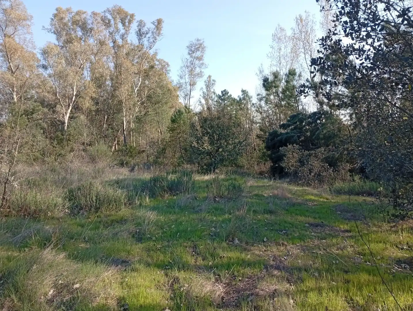 Terreni e lotti in vendita a Villanueva de la Vera, imagen 85