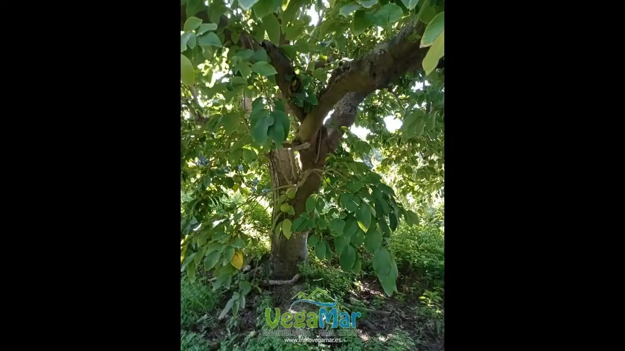 Jardín de Residencial en venta en Almuñécar