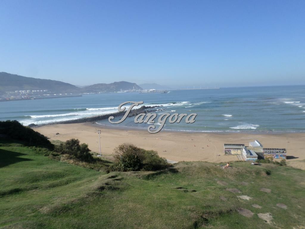 Flat to rent in Bajada de Arrigunaga Kalea, Usategui