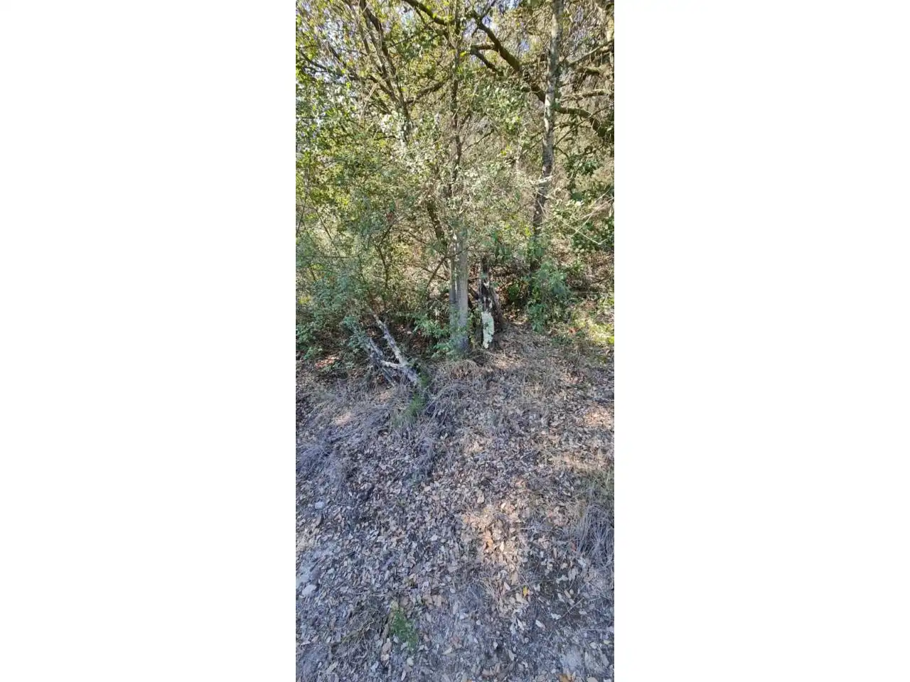Rural land for sale in Lliçà d'Amunt, imagen 60