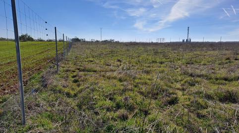 Foto 2 von Residential zur Miete in  Paseo de la Visera 150, 150, Los Santos de la Humosa, Madrid