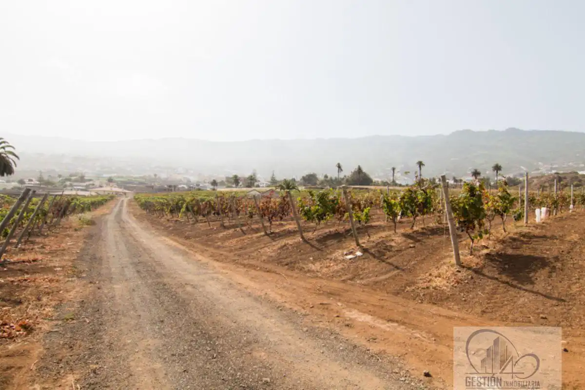 Vista exterior de Finca rústica en venda en Santa Úrsula amb Terrassa i Balcó