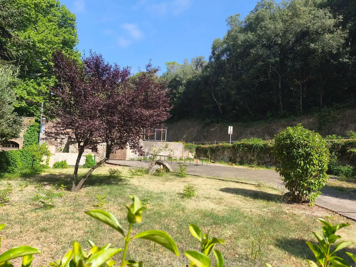 Garten von Geschaftsraum zur Miete in Sant Iscle de Vallalta mit Klimaanlage und Terrasse