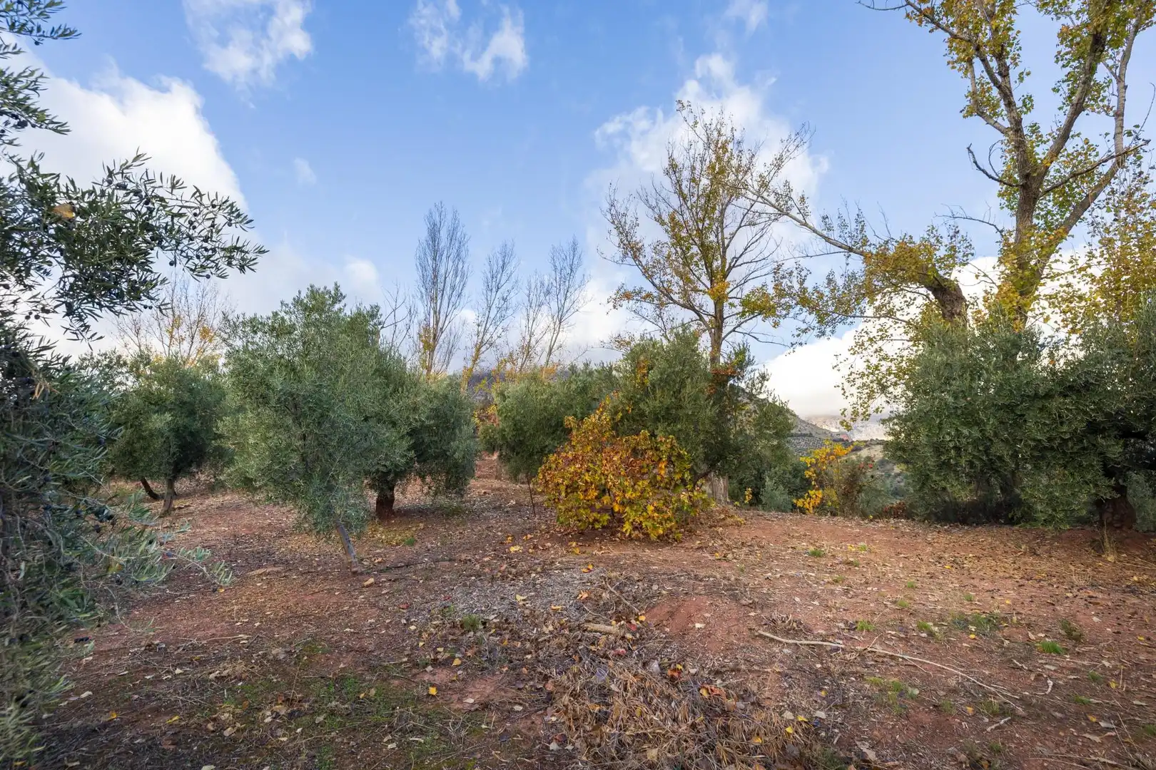 Country house zum Verkauf in Huelma