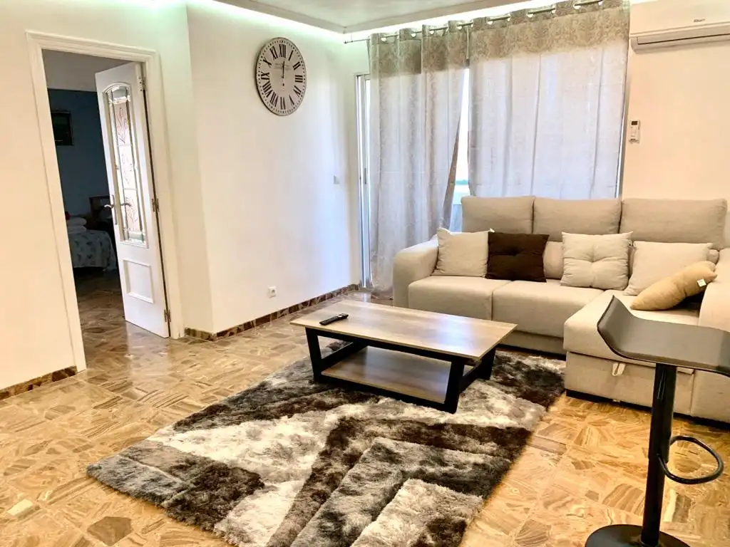 Sala d'estar de Apartament en venda en Alicante / Alacant amb Aire condicionat, Terrassa i Moblat