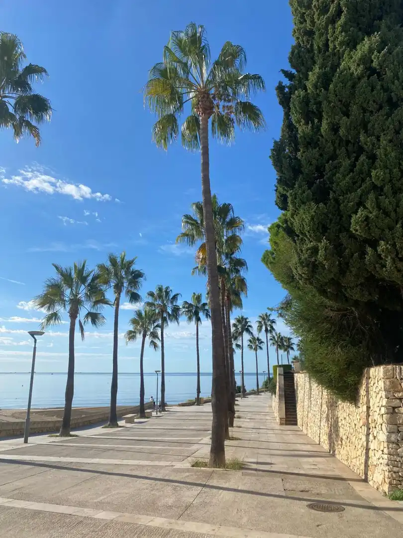 Vista exterior de Piso en venta en Avinguda Catalunya 