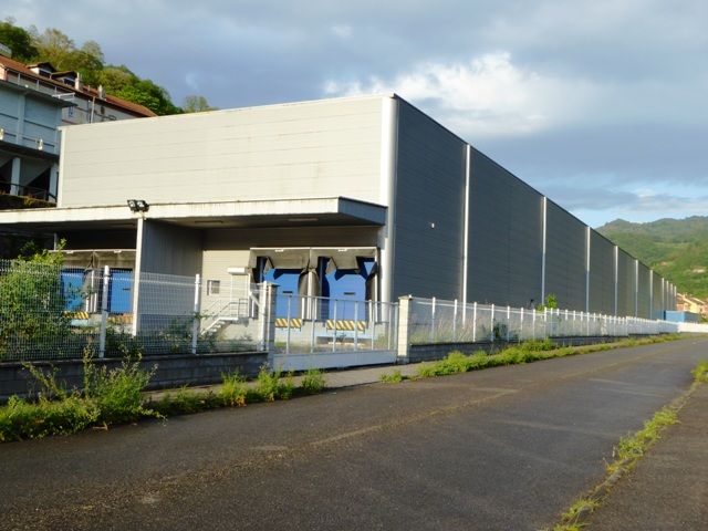 Vista exterior de Nave industrial en venta en Mieres (Asturias)