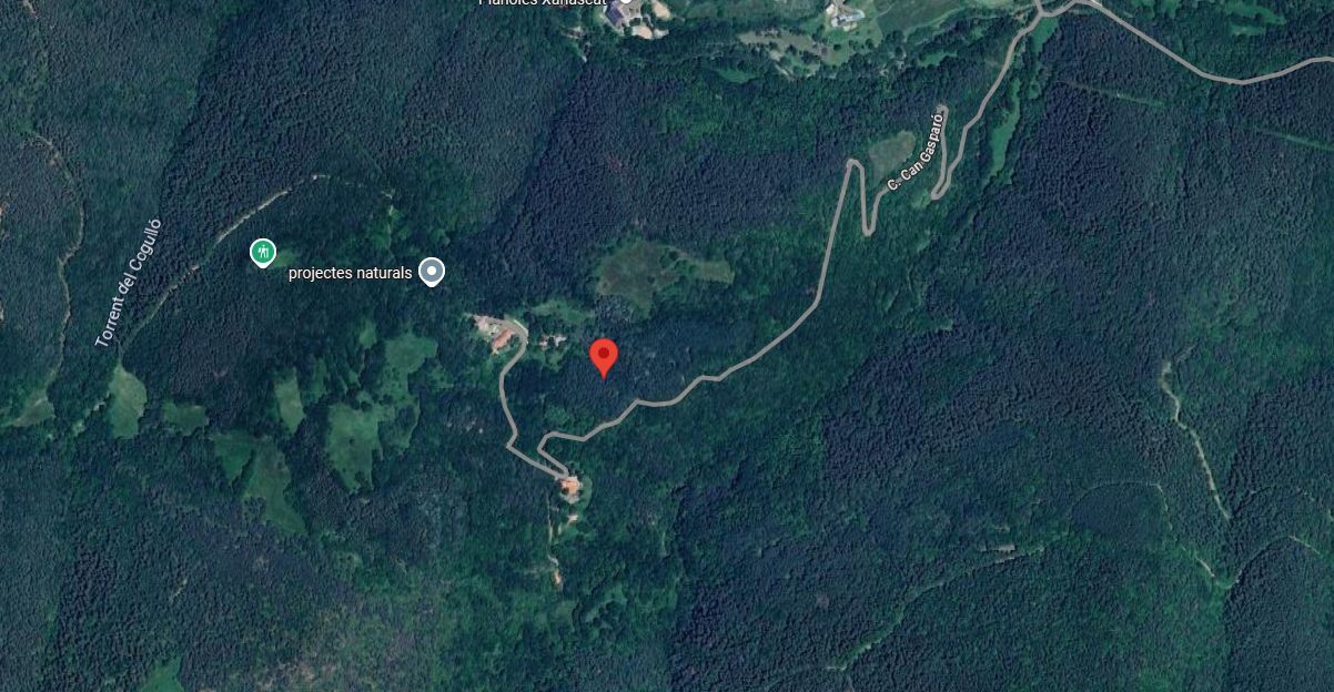 House or chalet for sale in Planoles