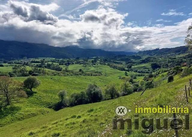 Terreno residencial en Venta en Carretera Polígono 4 Parcela 174 LAS HELGUERAS. RI en Ribadedeva