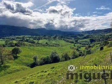 Terrenys i solars en venda a Carretera Polígono 4 Parcela 174 LAS HELGUERAS. RIBADEDEVA