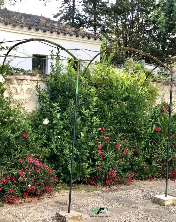 Casa rustica con piscina in vendita a Baeza, imagen 34