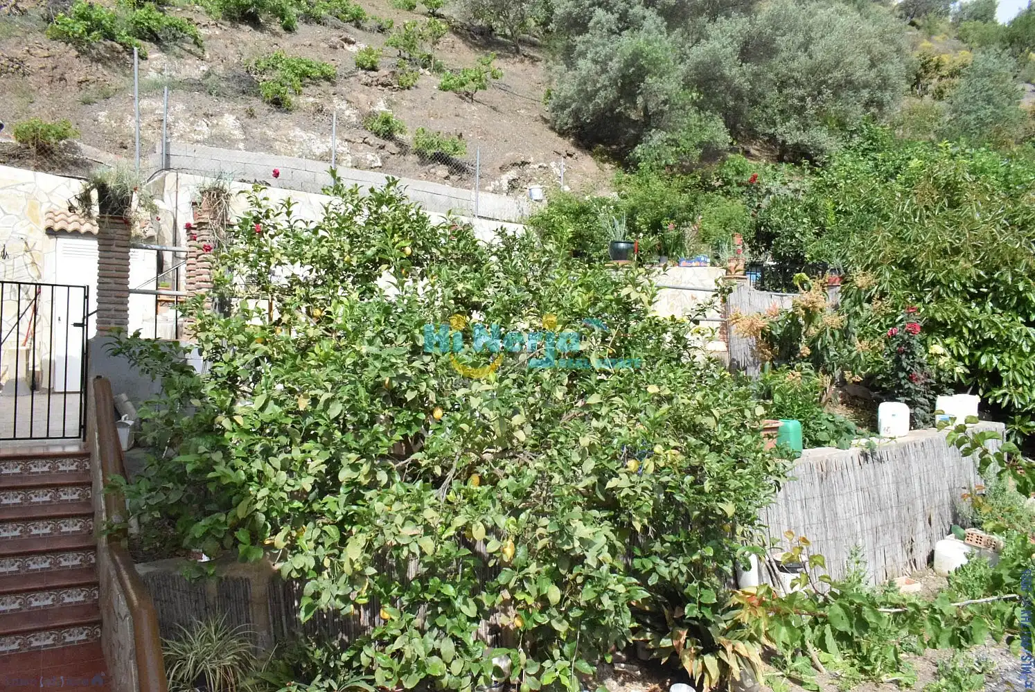 Haus mit Pool zum Verkauf in Canillas de Aceituno, imagen 28