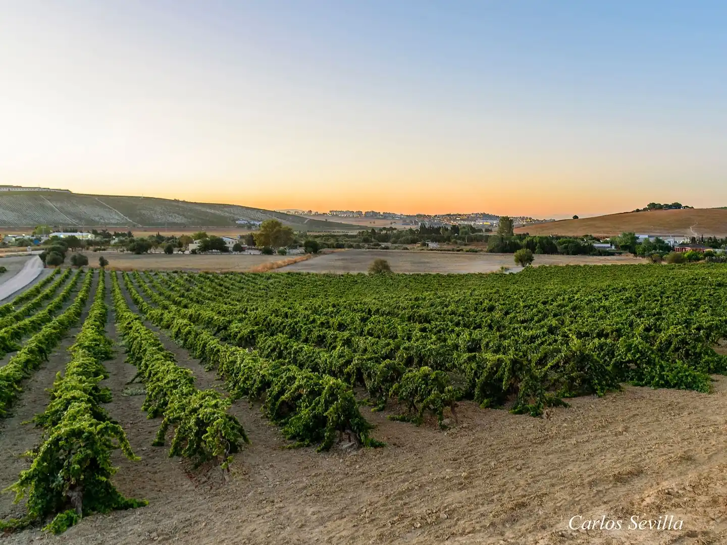 Rural land for sale in Santiago - Coronación, imagen 18