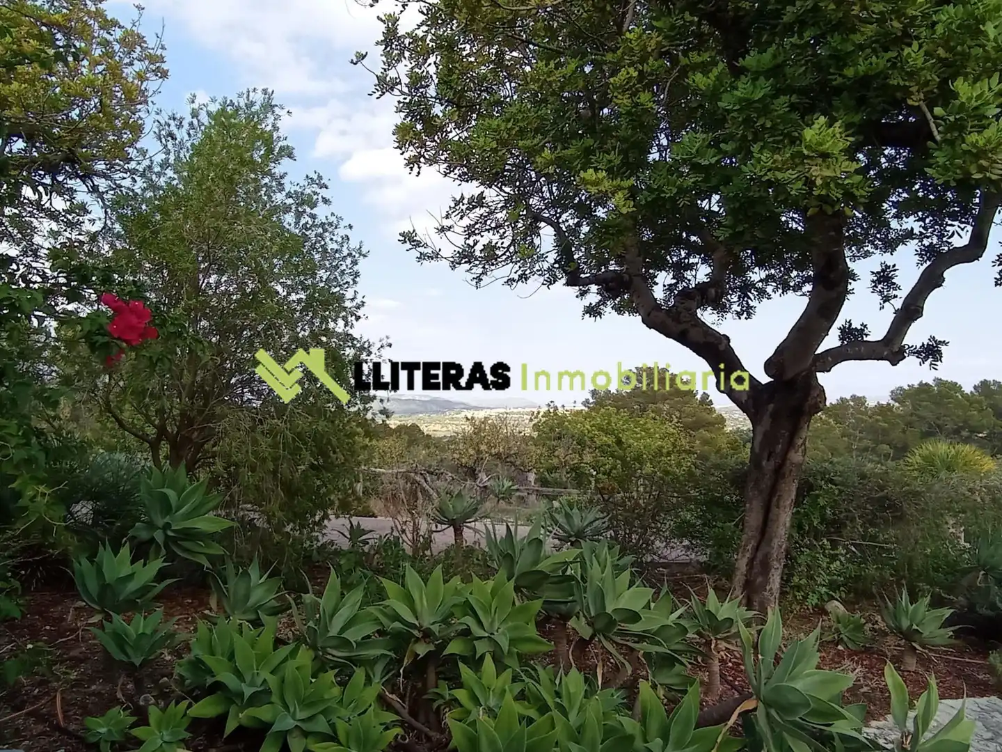 Country homes for sale in Selva