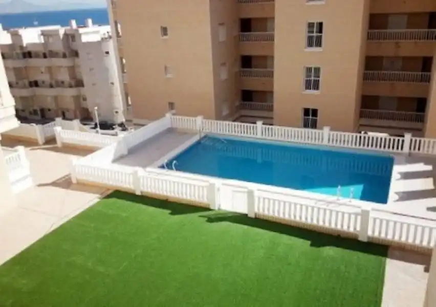 Swimming pool of Apartments for sale in Elche / Elx  with Private garden, Terrace and Storage room