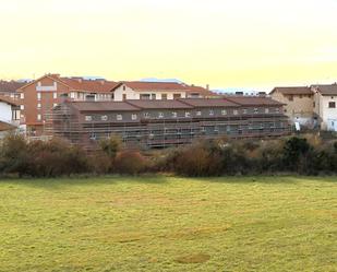 Vista exterior de Casa o xalet en venda en Salvatierra / Agurain amb Jardí privat