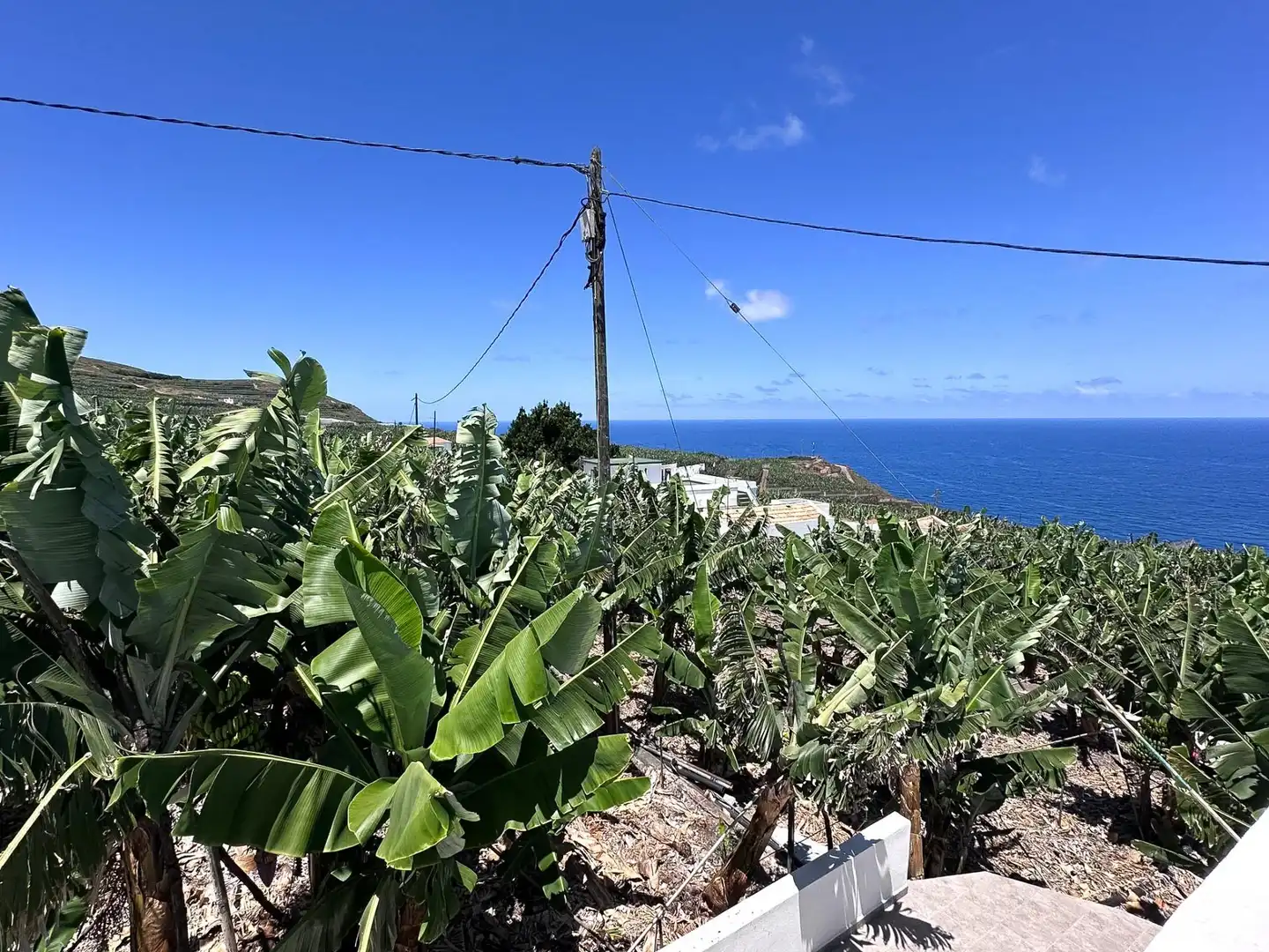 Flat for rent in Barlovento  with Terrace