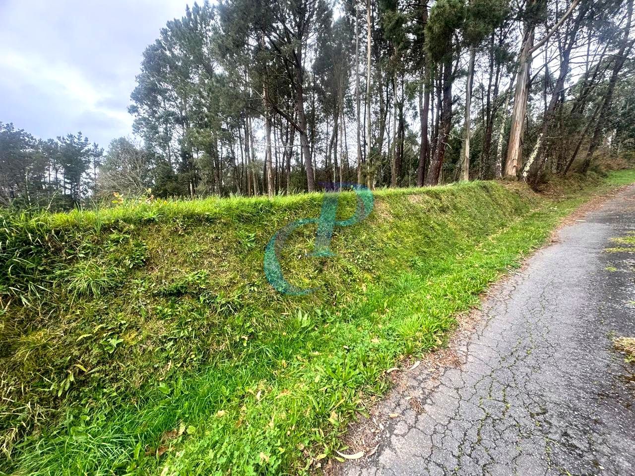 Exterior view of Residential for sale in Miño