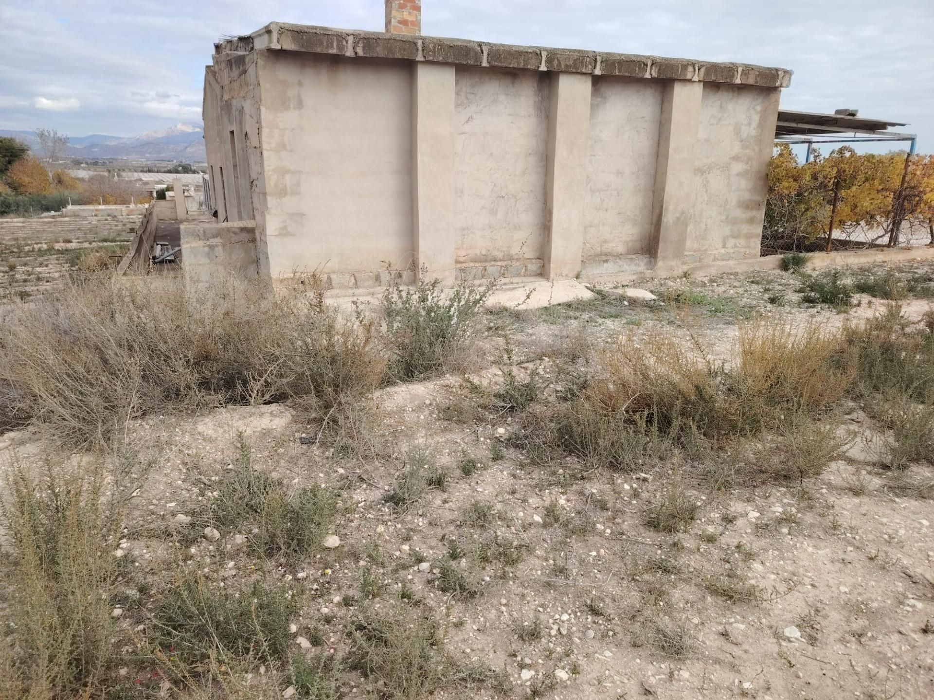 Casa o chalet en venta en Novelda con Piscina