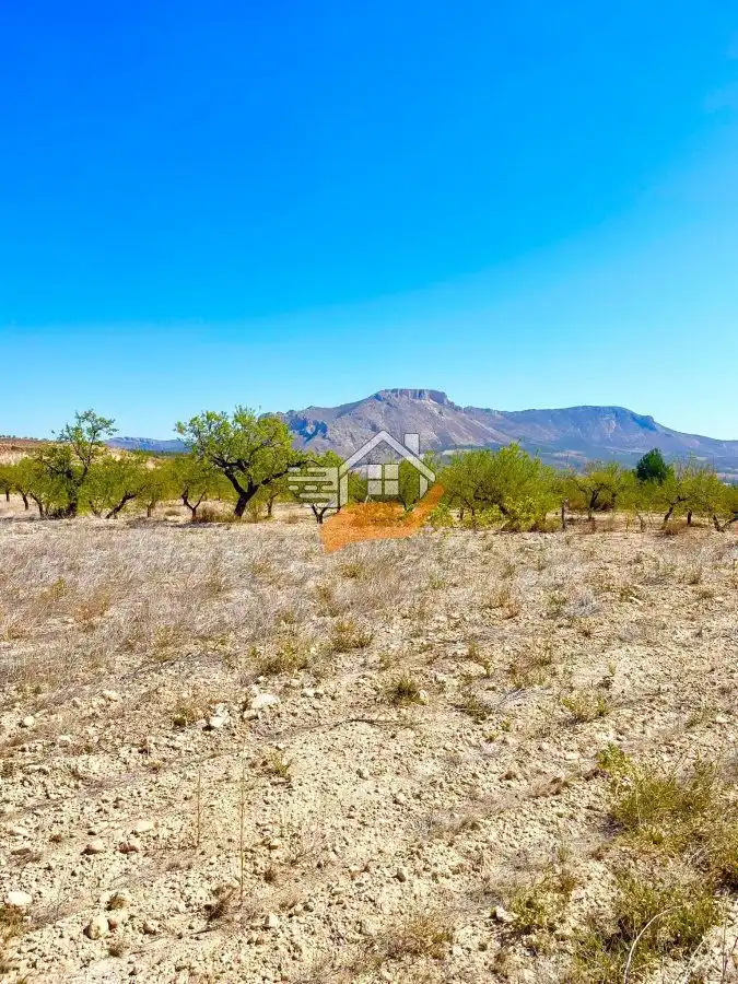 Lands and plots for sale in Vélez-Blanco, imagen 2