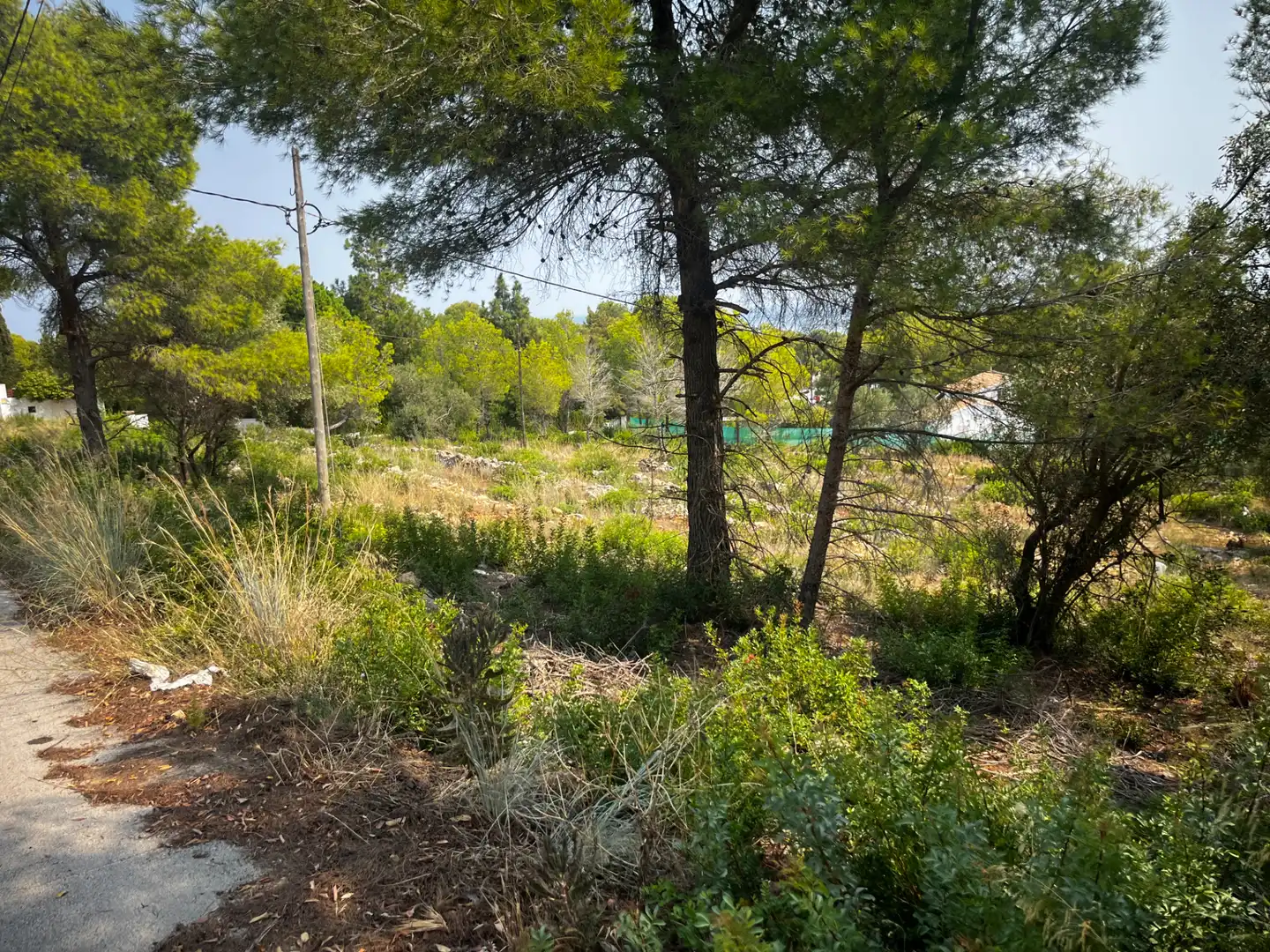 Terreny residencial en venda a Carrer Peixos 1, imagen 16