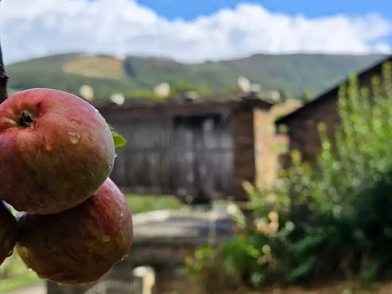 Casa rústica amb jardí en venda a Lugar Vileimil-Pq Vilaboa 6, imagen 32