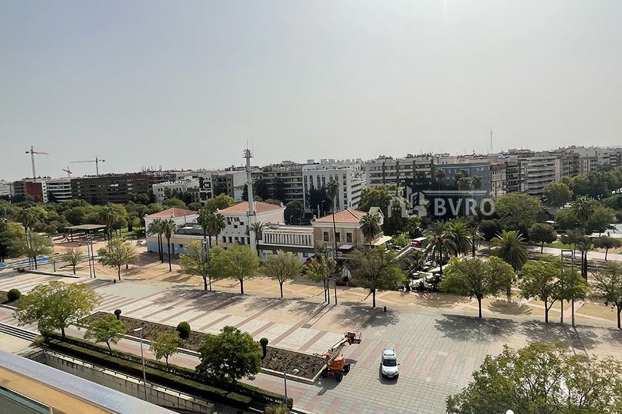 Flat to rent in Zona Centro