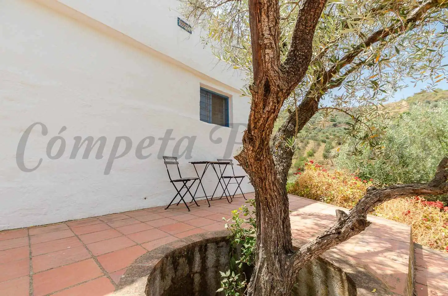 Country house with pool for sale in Cómpeta, imagen 13