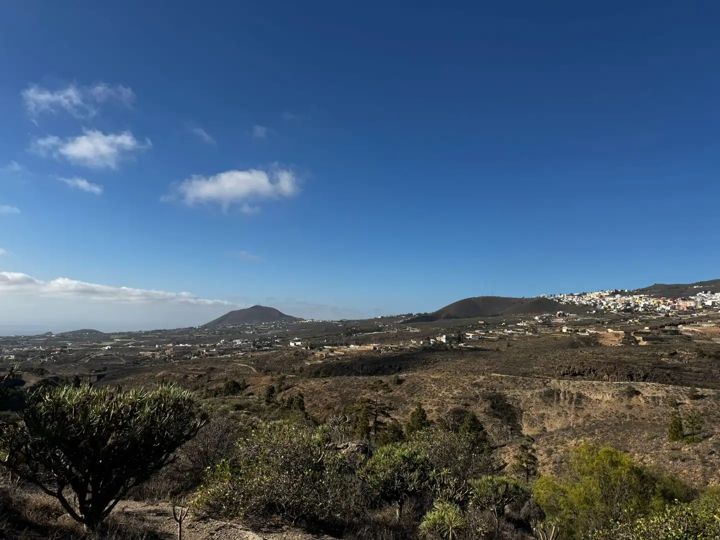 Exterior view of Land for sale in Granadilla de Abona