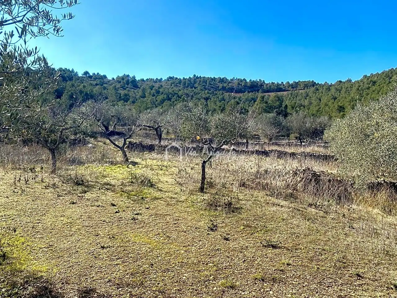 Terrain rustique à vendre à Calobres, imagen 9
