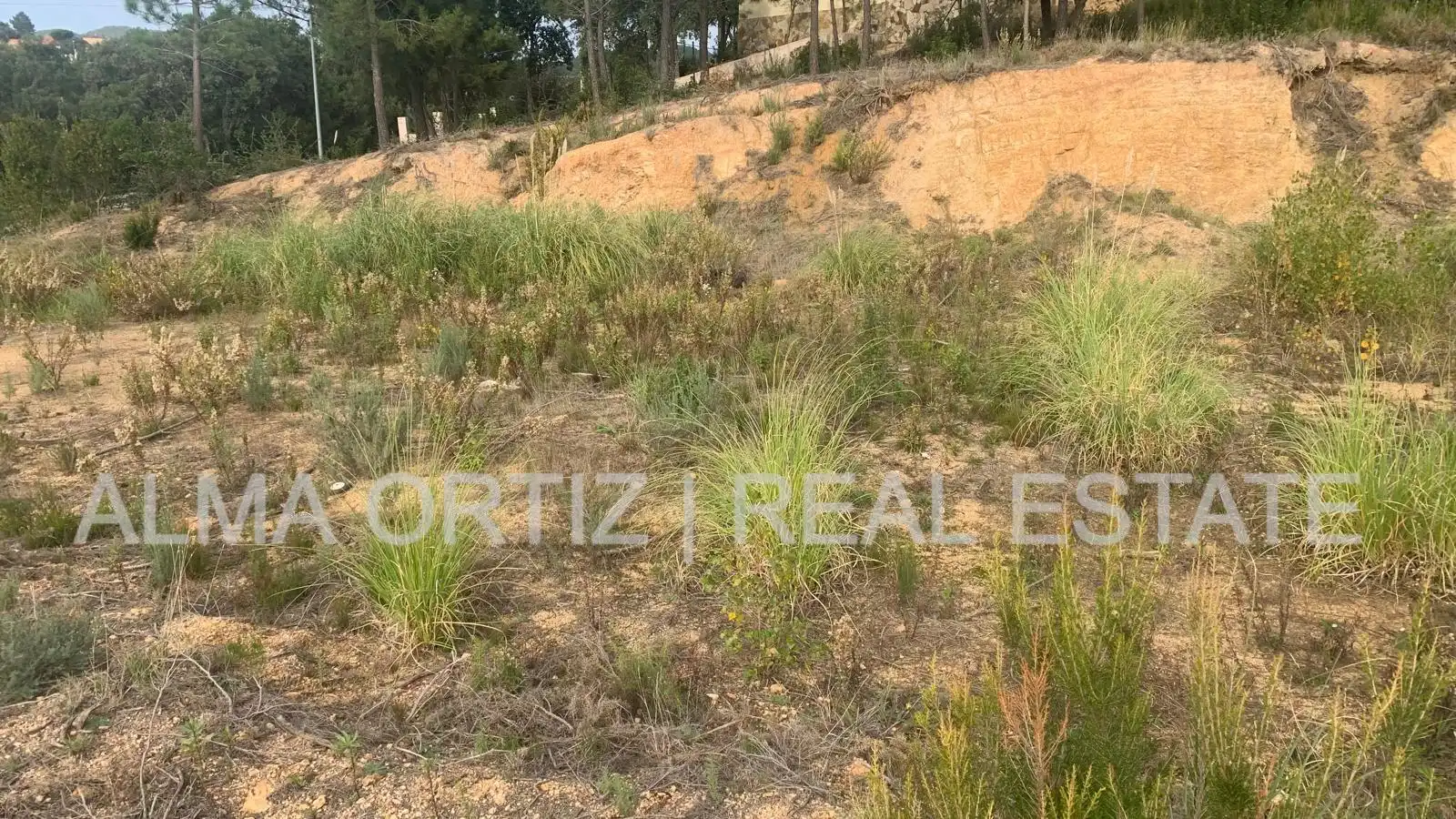 Terreny residencial en venda a Calle Sauce 25, imagen 11