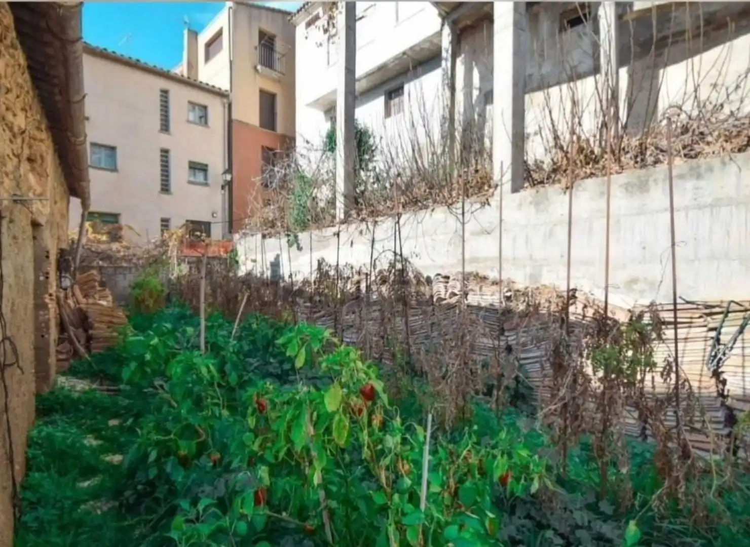 Casa rústica con jardín en venta en romeo, imagen 31