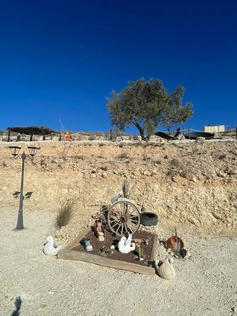 Wohnbaugrundstück zum Verkauf in El Pinós / Pinoso, imagen 29