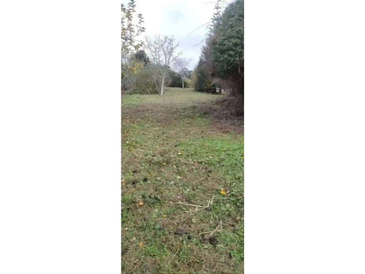 Terreny rústic en venda a Calle Lugar Barrabaite - Lamela 18, imagen 17