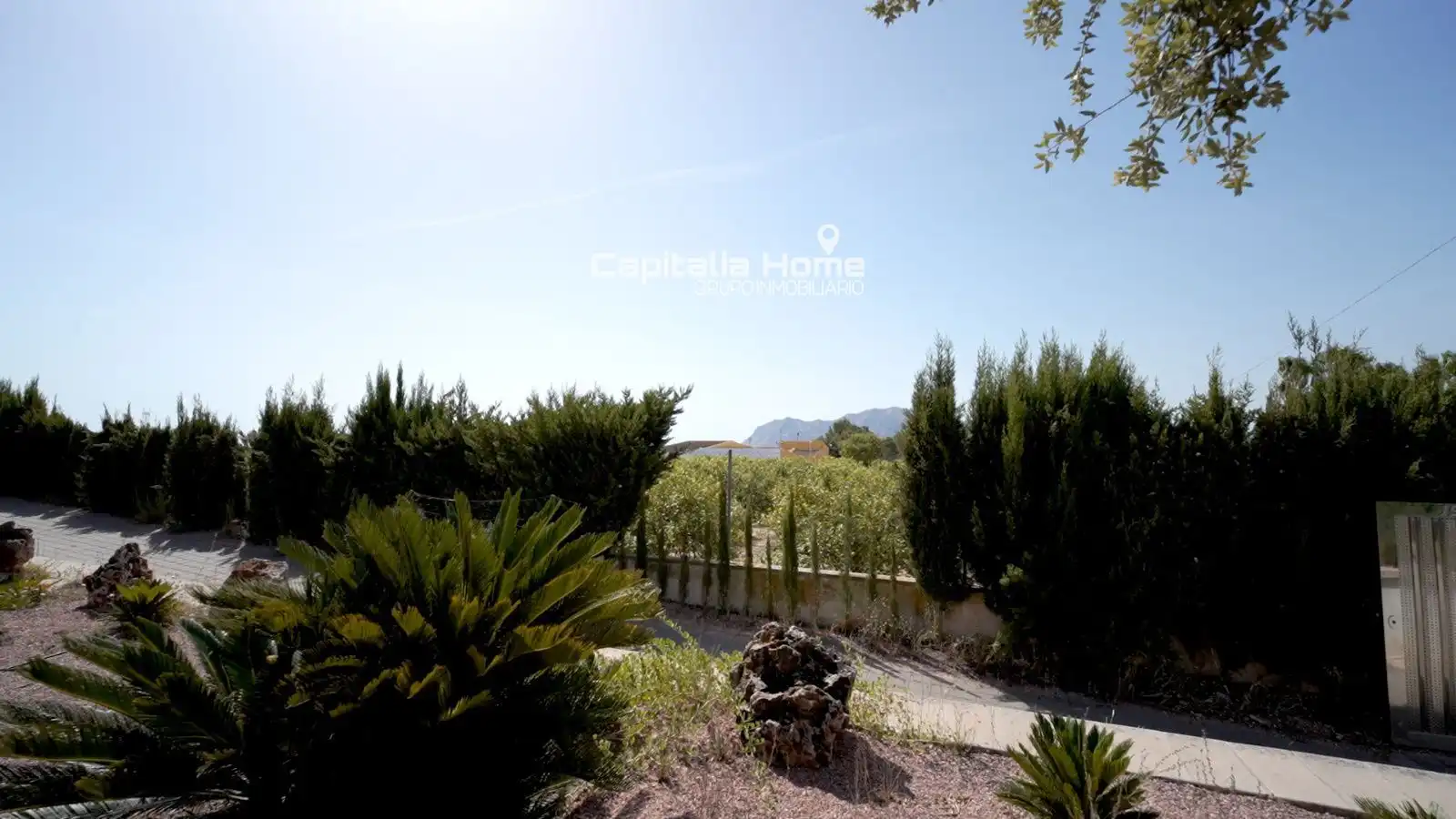 Jardín de Casa o chalet en venta en Orihuela